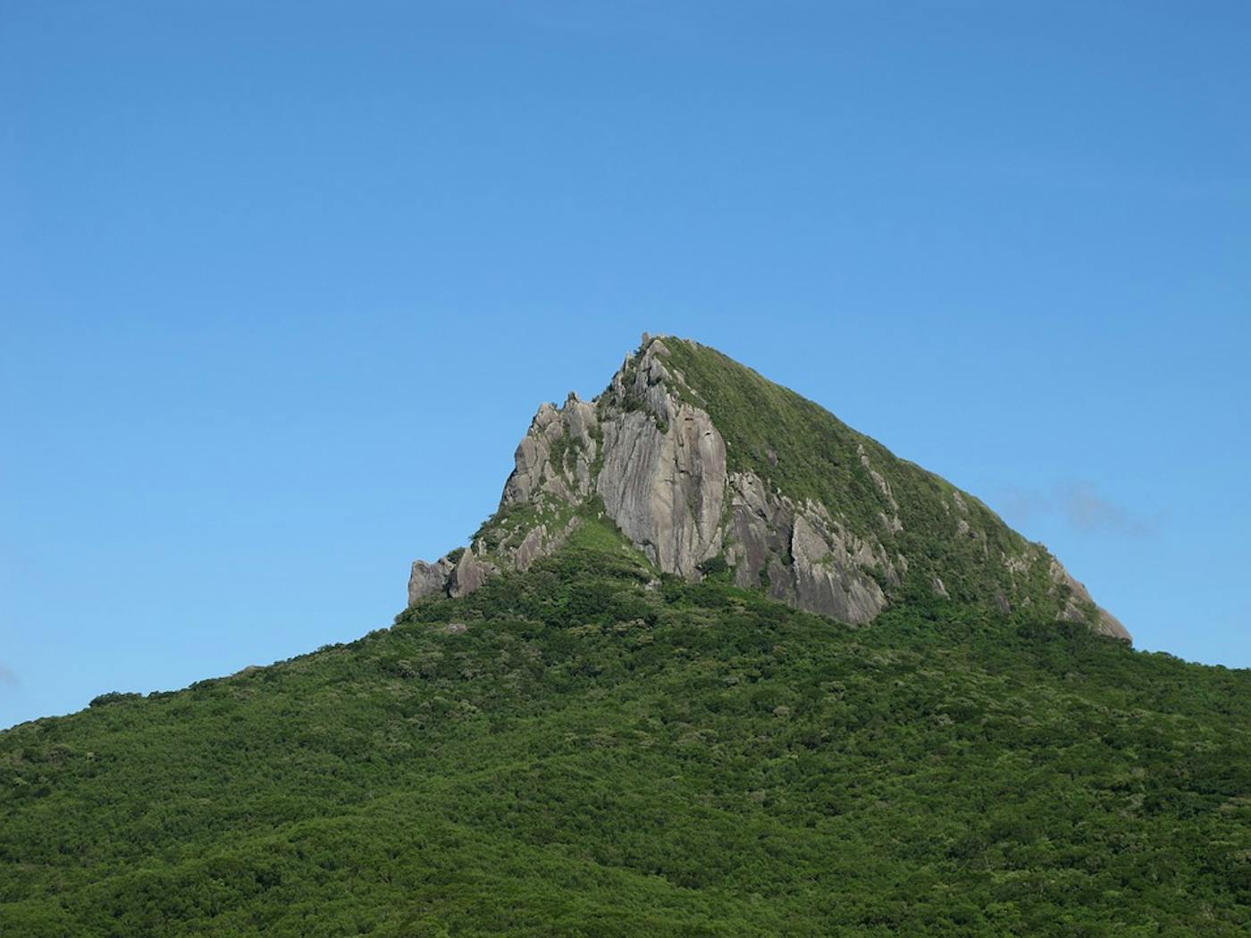 South China Subtropical Evergreen & Monsoon Forests (IM13)